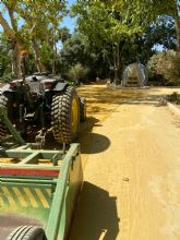 El Ayuntamiento de Lorca contina las labores de fumigacin para evitar la proliferacin de mosquitos y realizar, este jueves, un tratamiento en Las Alamedas