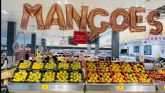 Los mangos de Australia se enfocan en sustentabilidad, buenas prcticas agrcolas y respeto con el medio ambiente