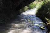 Huermur reclama a la CHS un caudal ecolgico en las acequias de la Huerta de Murcia para evitar danos medioambientales