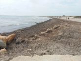 Visto bueno ambiental al acondicionamiento de la playa de La Llana