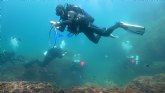 Sanex y Equilibio Marino tienen como objetivo recolectar ms de 8000kg de basura de los mares españoles