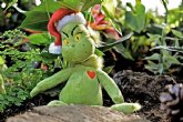 Sndrome del Grinch: de la melancola al odio por las navidades.Tips para superar el mal humor tpico de estas fechas