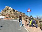 El Ayuntamiento de Lorca instala casi una decena de señales de 'paso de animales en libertad' en las inmediaciones del Castillo por la elevada presencia de arruís