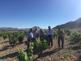 Agricultura realiza un seguimiento de las parcelas de viñedo de Jumilla y Yecla para hacer una estimacin de la cosecha