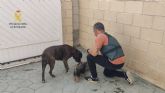 Detenido en Ceut por estafar a propietarios de perros robados hacindoles creer que conoca su paradero