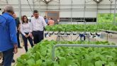 Luengo visita una empresa que facilita el cultivo hidropnico reduciendo el empleo de agua y nitratos