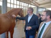 La Regin muestra en la Feria del Caballo de Lorca la pujanza de un sector con cerca de 3.200 explotaciones equinas y 8.900 caballos