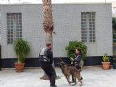 La Asamblea, escenario de una demostracin canina de proteccin a las mujeres maltratadas