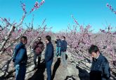 Comienzan los ensayos en frutales de hueso de productos y sistemas para combatir los efectos del cambio climtico