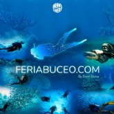 Del 19 al 21 de febrero Primera Feria de Buceo en Streaming de habla Hispana