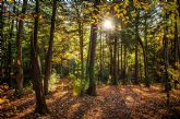 COPADE busca concienciar sobre el problema de la deforestacin importada con el proyecto Bosques Vivos