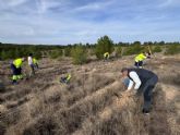 Aguas de Lorca realiza la reforestacin de su 'Bosque Corporativo' con la plantacin de 500 nuevos ejemplares