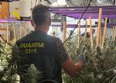 La Guardia Civil desarticula en Murcia y Torre Pacheco otro grupo delictivo que cultivaba cannabis