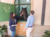 Los sementales del Centro Militar de cra caballar de cija regresan a Lorca