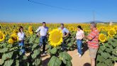 El consejero Antonio Luengo demanda a la Comisin Europea que deje sin efecto la supresin de ayudas al girasol, cultivo en auge en la Regin