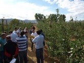 Agricultura muestra nuevas variedades de manzano de excelente calidad organolptica y ms precoces y productivas