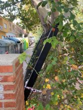 Fulgencio Gil sume a los parques de Lorca y de sus pedanas en un estado de abandono lamentable