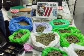 Polica Local decomisa casi 2 kilos de marihuana en San Flix e intercepta un coche con setas alucingenas en La Aljorra