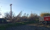 Incendio de cañas con afectación a una línea de media tensión en Ceutí Incendio de cañas con afectación a una línea de media tensión en Ceutí