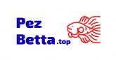 Pezbetta, referencia para aficionados a la acuariofilia