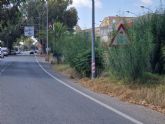 Sí Cartagena denuncia problemas de seguridad vial por la maleza existente en la carretera que une Santa Ana y el polígono