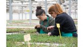 Cultura alimentaria y consumo sostenible para el futuro de la alimentacin