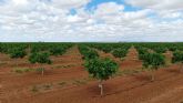 Fertiberia y Grupo IberoPistacho se alían para impulsar la sostenibilidad en el cultivo del pistacho