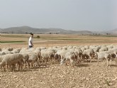 La Comunidad comienza a abonar ms de 18,3 millones por el adelanto de las ayudas de la Poltica Agraria Comn