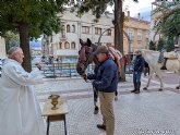 La Festividad de San Antn