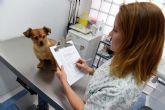 Los veterinarios murcianos ponen en marcha una campaña en redes sociales instando a la identificación de animales de compañia