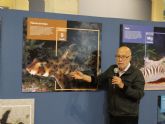 El Oceanografic inicia en el Museo de la Ciencia de Murcia su exposicin itinerante 'tomos bajo el agua'