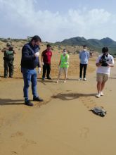 Liberación de una tortuga en Calblanque tras ser tratada en el centro de recuperación