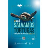 Lorca colabora en las campanas de sensibilizacin de la tortuga marina 'Tortugas en el Mediterrneo' y 'Territorio Tortuga'