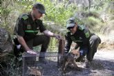 La Brigada de Delitos Ambientales ha abierto 30 investigaciones en lo que va de año