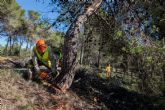 La superficie afectada por los incendios forestales en la Regin se reduce este año un 84,5 por ciento