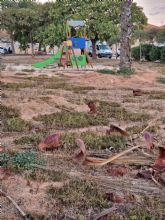 S Cartagena exige que se adecente el parque de la calle Mozos de Santa Ana