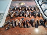 CONSUMUR denuncia a Mercadona por comercializar bolsas de mejillones 