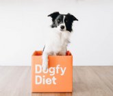 Dogfy Diet inaugura nuevas instalaciones de ms de 3.000m2 para su expansin por Europa