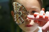 7 de cada 10 murcianos consideran la sequa como el mayor problema ambiental en España