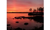 Verano en Laponia: la joya oculta de Finlandia