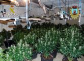 Desmanteladas en Bullas dos plantaciones indoor de marihuana con ms de un centenar de plantas