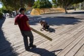 El Ayuntamiento repara tablas de madera en los suelos del exterior de El Batel