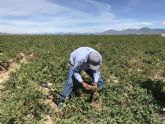 Unión de Uniones pide que la futura Ley de Agricultura Familiar favorezca a los agricultores y ganaderos profesionales españoles