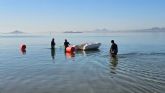 Los Alcázares pone en marcha una prueba piloto de retirada manual de Caulerpa en las playas del municipio Los Alcázares pone en marcha una prueba piloto de retirada manual de Caulerpa en las playas del municipio