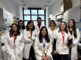Un estudio de la UMU descubre cómo un posible fármaco para tratar el lupus podría frenar el cáncer cerebral más agresivo Un estudio de la UMU descubre cómo un posible fármaco para tratar el lupus podría frenar el cáncer cerebral más agresivo