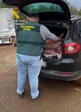 La Guardia Civil desmantela un grupo delictivo dedicado a la sustracción de ganado en el Campo de Cartagena