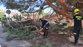 Las fuertes rachas de viento arrancan el tejado de una vivienda y un árbol en Lorca