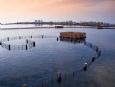 La Comunidad y el Ministerio acuerdan trabajar en el desarrollo de tecnología innovadora para desnitrificar el agua que afecta al Mar Menor