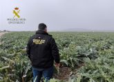 La Guardia Civil desmantela un grupo delictivo dedicado a sustraer productos del campo en Balsapintada