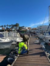 El Gobierno regional defiende la operatividad de los puertos y reclama menos trabas administrativas en la normativa estatal El Gobierno regional defiende la operatividad de los puertos y reclama menos trabas administrativas en la normativa estatal